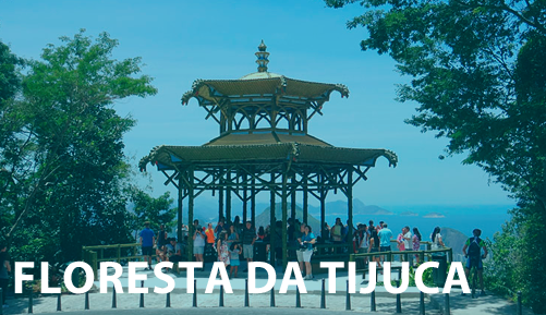 Floresta da Tijuca